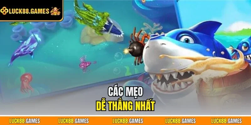 Các mẹo dễ thắng nhất 